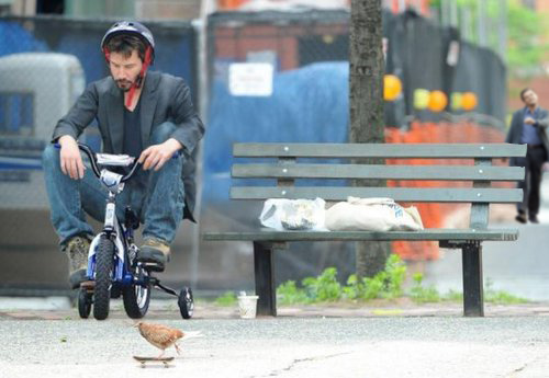 Tags: keanu  leo haters hate sad